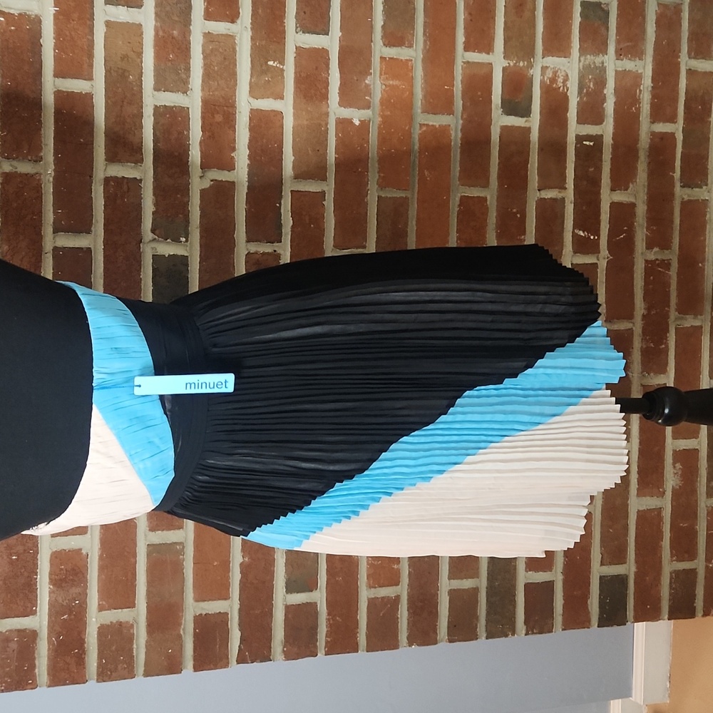 NWT Minuet colorblock Pleated Dress, size M - Picture 2 of 10